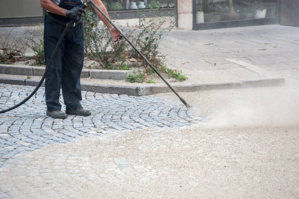 Best Animal Enclosure Cleaning  in Willits, CA